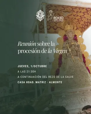 Virgen del Rocío vestida con manto dorado y corona, portada en andas decoradas con flores durante procesión religiosa en Almonte