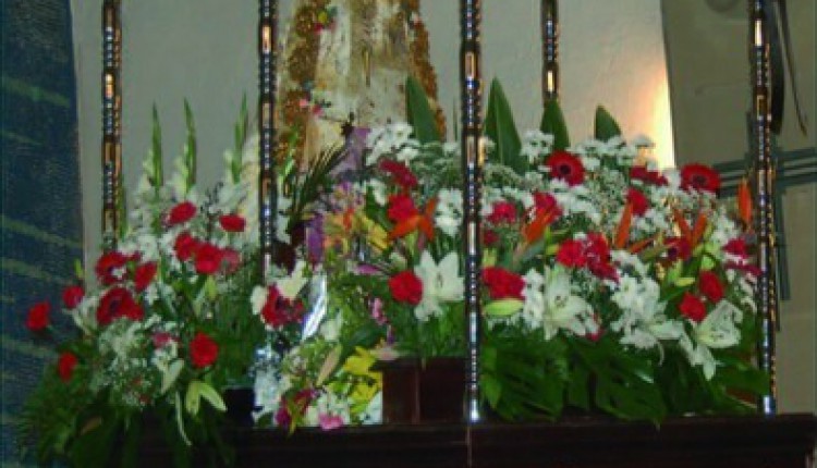 Asociación Cultural y Foklórica Andaluza de Tarragona – Romeria en Honor a la Virgen del Rocio