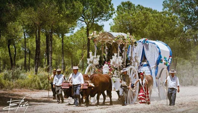 Peregrinaciones Extraordinarias de las Hermandades del Rocío del domingo 1 de diciembre 2024 – Misas en DIRECTO